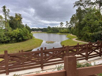 151 Wild Wick Way, Spring, TX 77382 - photo 2