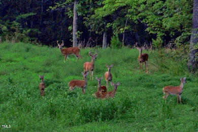 0 Cherry St unit 10101409, Danbury, NC 27016 - photo 6
