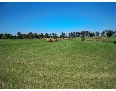 Land.