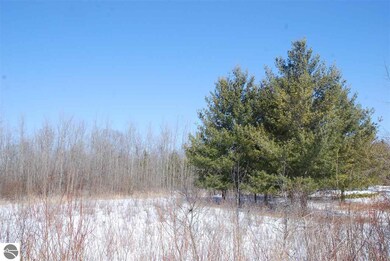 0 Alabaster Rd, Tawas City, MI 48763 - photo 3