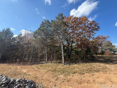 34 Summer Sky Dr, Greenbrier, AR 72058 - photo 3