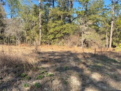 unlisted-address, Dunnellon, FL 34431 - photo 4