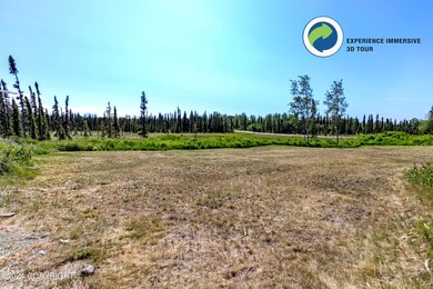 20518 Crooked Creek Rd, Kasilof, AK 99610 - photo 3