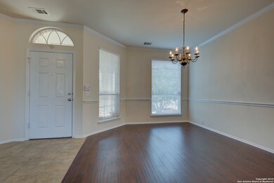 10635 Rainbow View, Helotes, TX 78023 - photo 5