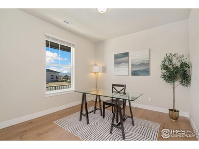 1815 Windfall Dr, Windsor, CO 80550 - photo 4