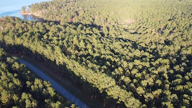 LOT 7 Lighthouse Point, Lincolnton, GA 30817 - photo 6