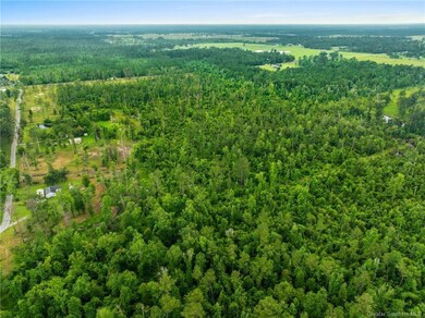 0 Lonnie Cole Rd Tract 9, Ragley, LA 70657 - photo 6