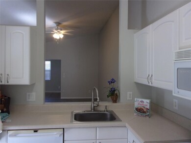 3291 Hibiscus Dr, Palm Harbor, FL 34684 - photo 5