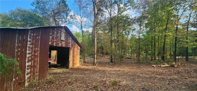 252 Beatrice Ct NE, Ranger, GA 30734 - photo 5