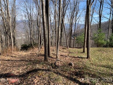 Winter View show potential