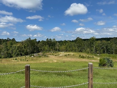 116 Ballenger Rd, Hodges, SC 29653 - photo 7