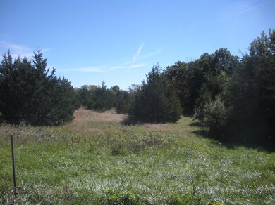 Blue Bird Land