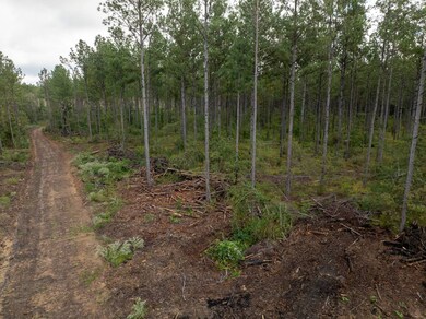 0 Pisgah Rd unit 4, Brandon, MS 39047 - photo 2