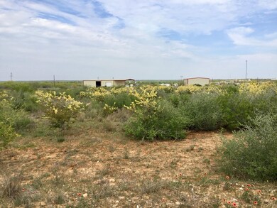0 Farm To Market Road 468, Cotulla, TX - photo 7