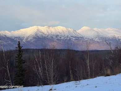 2525 N Larkspur Hill Cir, Gateway, AK 99645 - photo 5