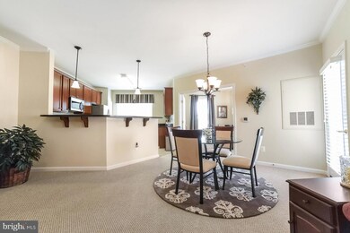 23520 F D R Blvd unit 402, California, MD 20619 - photo 6