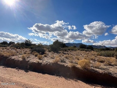 0000 N Running Brook, Hackberry, AZ 86411 - photo 6