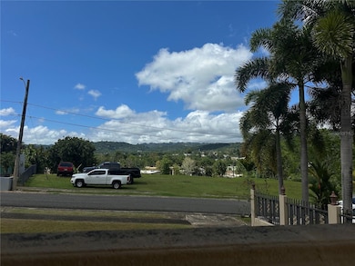 Terrace View