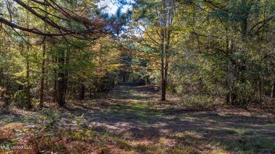 16098 Emory Rd, West, MS 39192 - photo 5