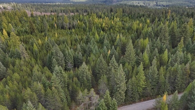 14506 Moonlight Ln, Newport, WA 99156 - photo 3