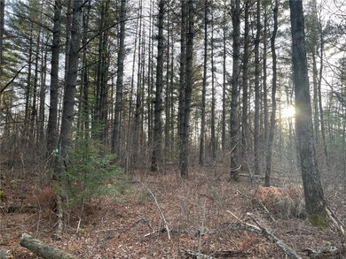 0 Old 14 Rd, Glen Flora, WI 54526 - photo 5