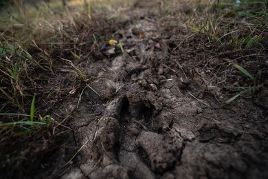 0 Echo Cliff Rd, Maple Hill, KS 66507 - photo 7