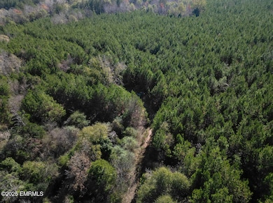 000 Suqualena Meehan Rd S, Meridian, MS 39307 - photo 2