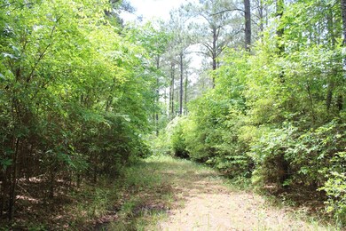 0 Fm 2497 unit 62476, Hudson, TX 75904 - photo 2