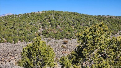 4536 Sarnoff Rd, Fort Garland, CO 81133 - photo 2