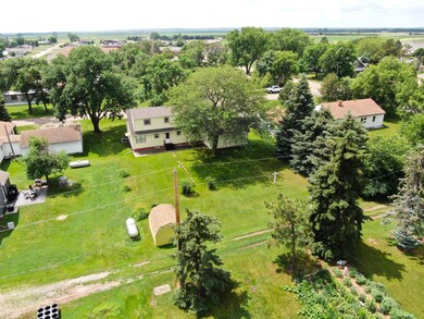back yard