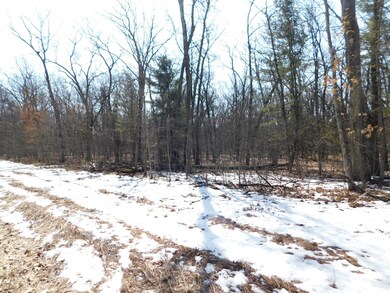 0 W Lincoln St, Brohman, MI 49312 - photo 4