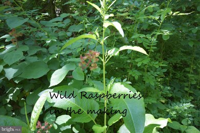 0 Ccc Rd unit VAWR142660, Linden, VA 22642 - photo 5