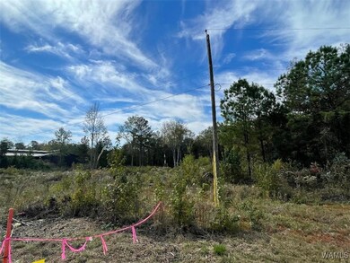 3 43rd St, Northport, AL 35473 - photo 4