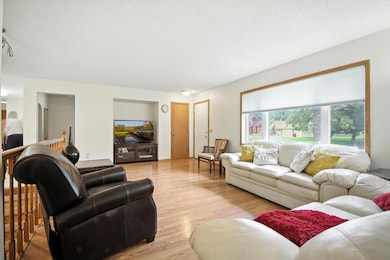 54067 267th St, Lansing, MN 55950 - photo 6