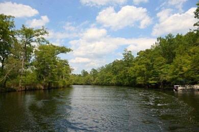 112 Lure Ct unit Homesite 4, Conway, SC 29526 - photo 5