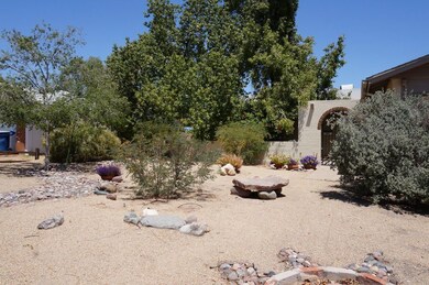 Desert Front