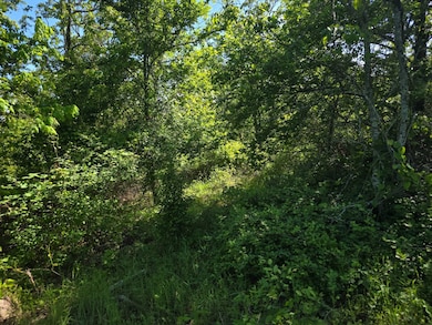 TR 21&22 Pine Tree Trail, Albion, OK 74571 - photo 4