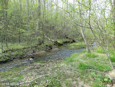 405 Garth Run Rd, Madison, VA 22727 - photo 2