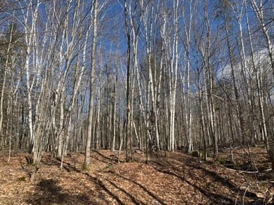 0 Gore Rd, Lancaster, NH 03584 - photo 7