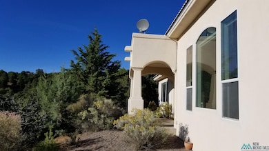 4520 N Swan St, Silver City, NM 88061 - photo 5