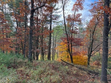 954 State Highway 9n, Keeseville, NY 12944 - photo 5