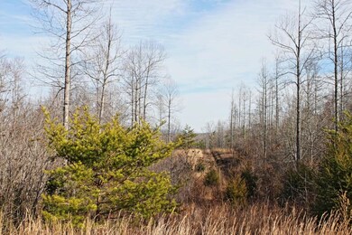 Southern Boundary