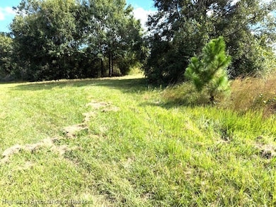 3313 W Jurgenson Rd, Avon Park, FL 33825 - photo 5