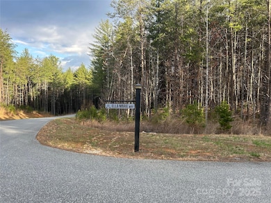 3426 Ella Marie Way unit 62, Nebo, NC 28761 - photo 6