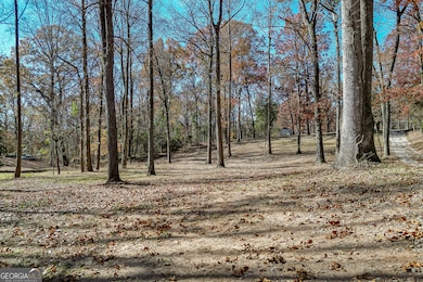 131 Canix Ln, Hoschton, GA 30548 - photo 2