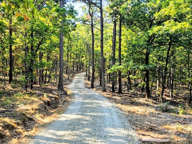 88 Buffalo Mtn Rd, Talihina, OK 74571 - photo 2