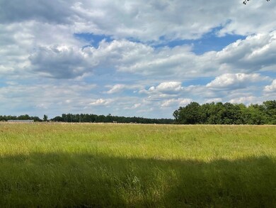 Pasture