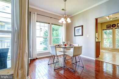 1519 N Point Dr unit 202, Reston, VA 20194 - photo 7