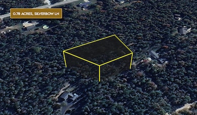 Silverbow Ln, Roscommon, MI 48653 - photo 3