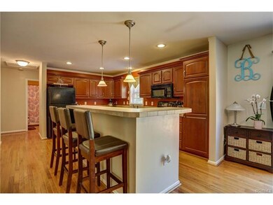 5243 Old Buckingham Rd, Powhatan, VA 23139 - photo 5